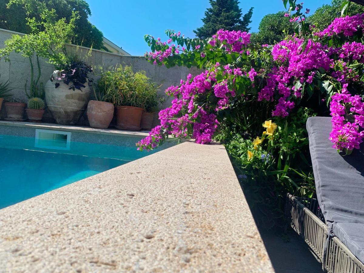 Luxury Pool Central Makarska Apartment By Maryn Ngoại thất bức ảnh