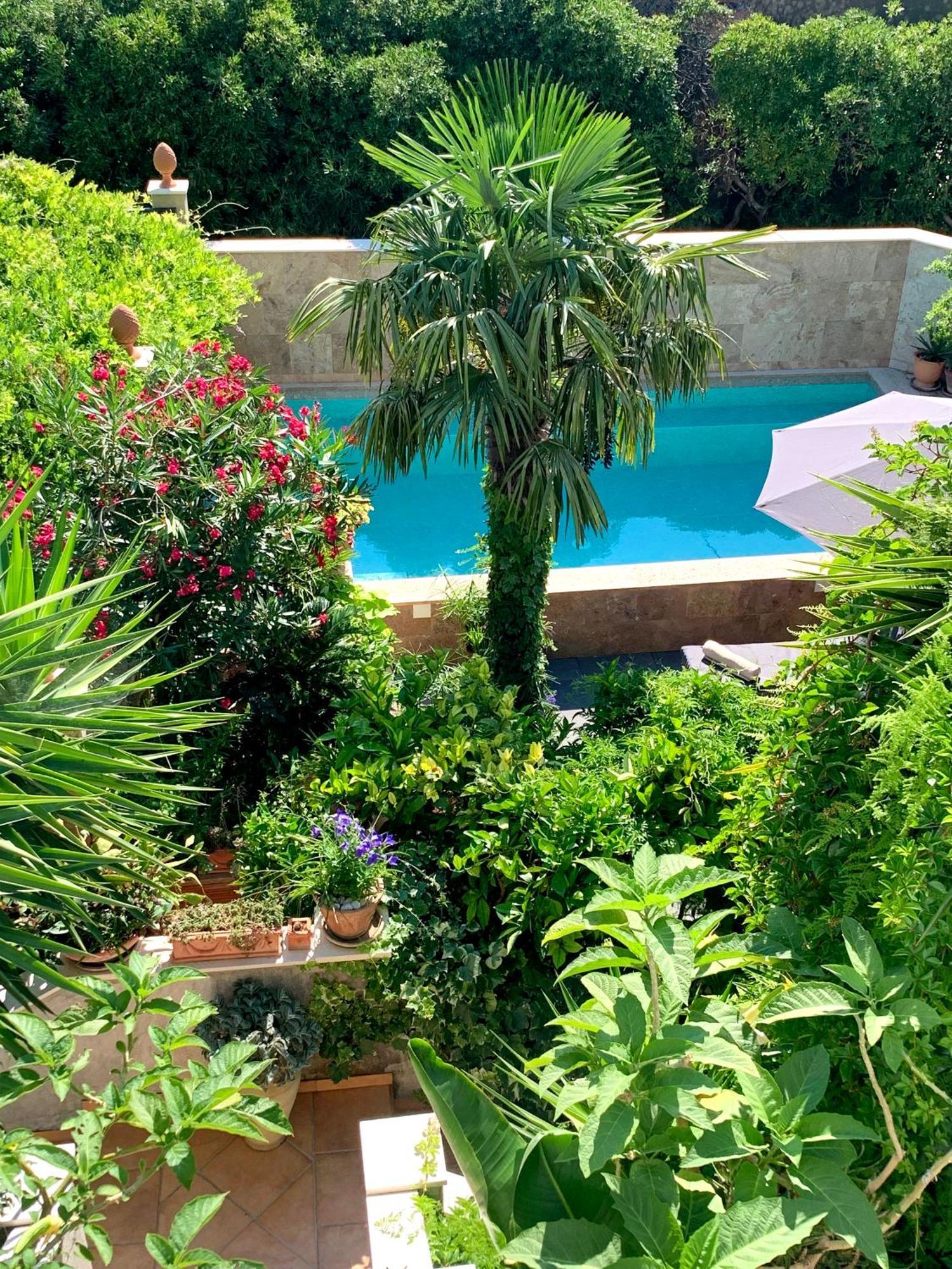 Luxury Pool Central Makarska Apartment By Maryn Ngoại thất bức ảnh